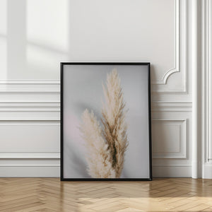 Tablou înramat „Pampas Grass Grey” de Pictufy Studio III