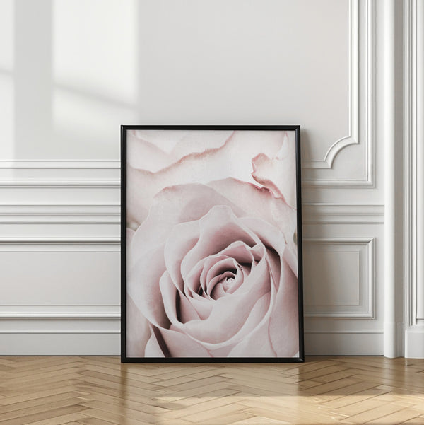Tablou înramat „Pink Rose No 05” de Pictufy Studio III