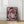 Tablou înramat „Pink Rose No 04” de Pictufy Studio III