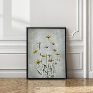 Tablou înramat „Summer Flowers” de Binbin L.