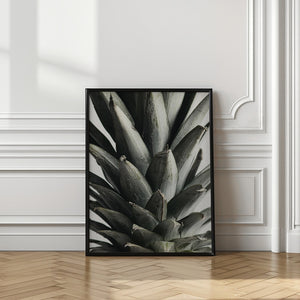 Tablou înramat „Pineapple close up” de Pictufy Studio III