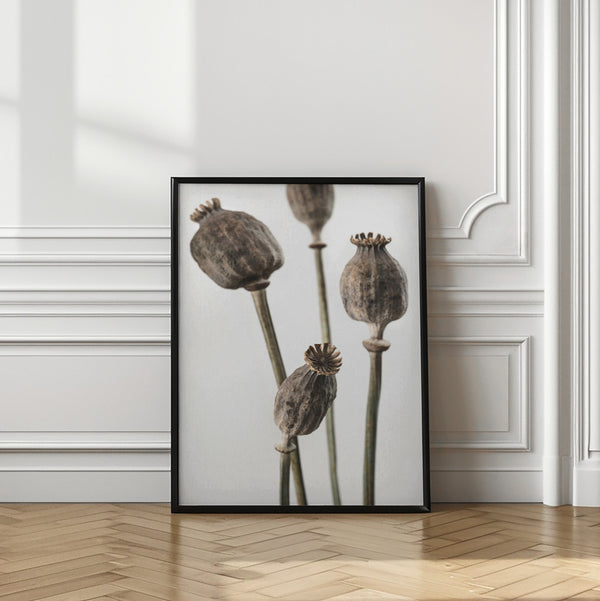 Tablou înramat „Dried_006” de Pictufy Studio III