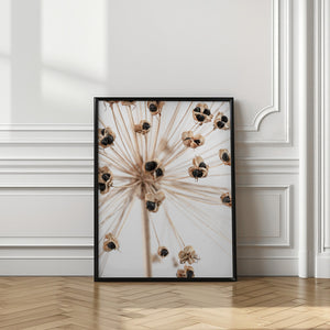 Tablou înramat „Dried_007” de Pictufy Studio III