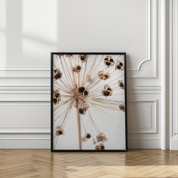 Tablou înramat „Dried_007” de Pictufy Studio III