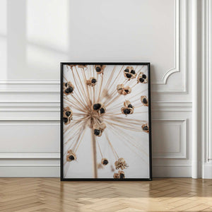 Tablou înramat „Dried_007” de Pictufy Studio III
