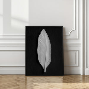 Tablou înramat „Feather_008” de Pictufy Studio III