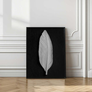 Tablou înramat „Feather_008” de Pictufy Studio III