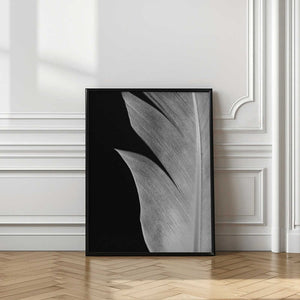 Tablou înramat „Feather_005” de Pictufy Studio III