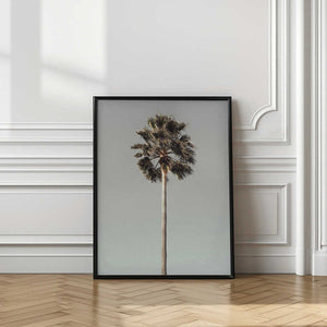Tablou înramat „Palm_001” de Pictufy Studio III
