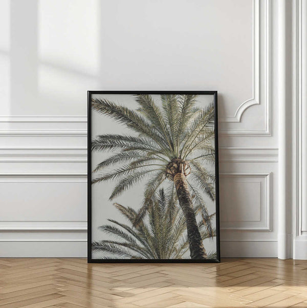 Tablou înramat „Palm_005” de Pictufy Studio III