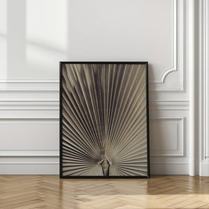 Tablou înramat „Palmblad_001” de Pictufy Studio III
