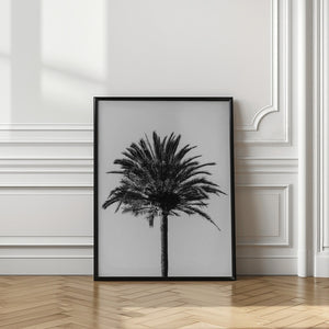 Tablou înramat „Palm_003” de Pictufy Studio III