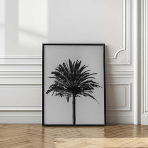 Tablou înramat „Palm_003” de Pictufy Studio III