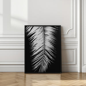 Tablou înramat „Palmblad_004” de Pictufy Studio III