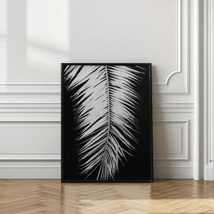 Tablou înramat „Palmblad_004” de Pictufy Studio III
