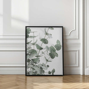 Tablou înramat „Eucalyptus_003” de Pictufy Studio III