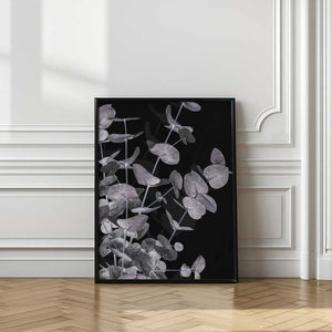 Tablou înramat „Eucalyptus_Negative_003” de Pictufy Studio III