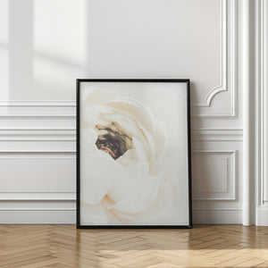 Tablou înramat „White Flower 01” de Pictufy Studio III