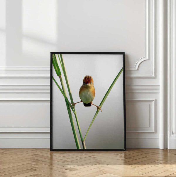 Tablou înramat „Kung Fu Master” de Lina Gunawan