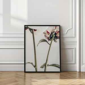 Tablou înramat „Peony 01” de Pictufy Studio III