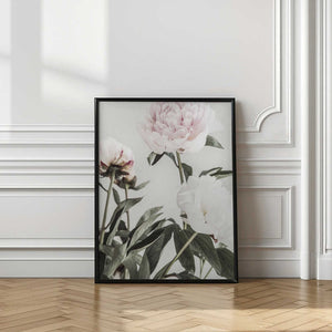 Tablou înramat „Peony 04” de Pictufy Studio III