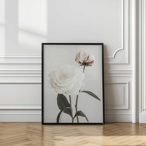 Tablou înramat „Peony 12” de Pictufy Studio III