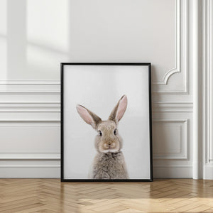 Tablou înramat „Baby Rabbit” de Kathrin Pienaar