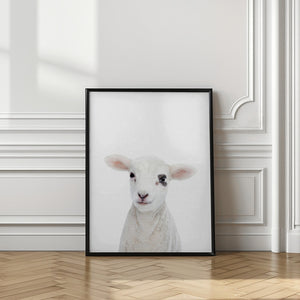 Tablou înramat „Baby Lamb” de Kathrin Pienaar