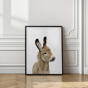 Tablou înramat „Baby Donkey” de Kathrin Pienaar