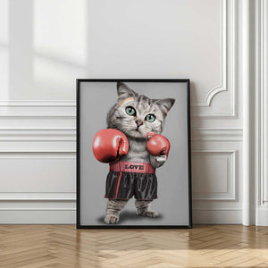 Tablou înramat „boxing cat” de Adam Lawless