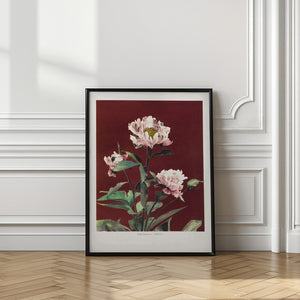 Tablou înramat „Hærdaceous Peony no2” de Ogawa Kazumasa