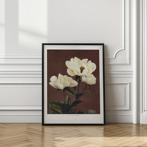 Tablou înramat „Hærdaceous Peony” de Ogawa Kazumasa