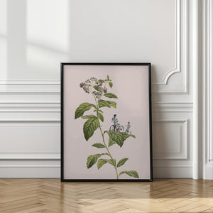 Tablou înramat „Botanical cycling” de Frida Floral Studio