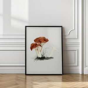 Tablou înramat „Hand Drawn Rufous Milkcap Mushroom” de Biodiversity Heritage Library