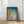 Tablou înramat „Vibrant Reef Dream” de Dorothy Fagan