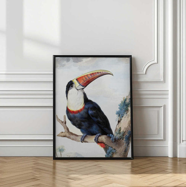 Tablou înramat „Red Billed Toucan” de Aert Schouman