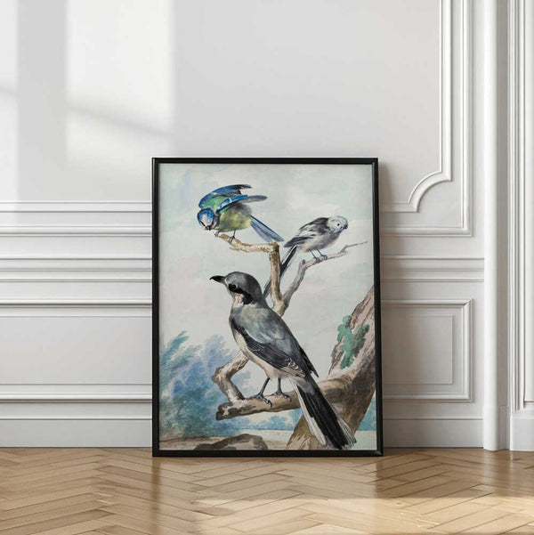 Tablou înramat „Three Birds” de Aert Schouman