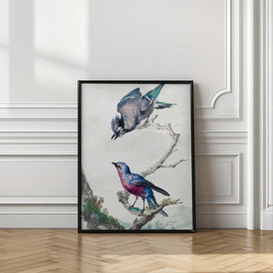 Tablou înramat „Two Birds  a Blue Jay and a Purple Breasted Cotinga” de Aert Schouman