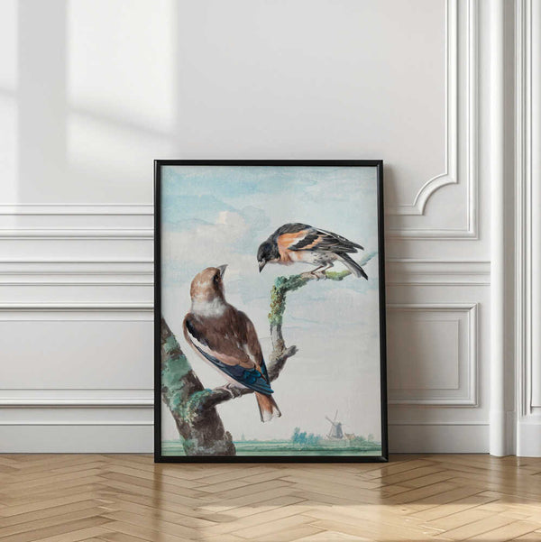 Tablou înramat „Two Birds  Hawfinch” de Aert Schouman