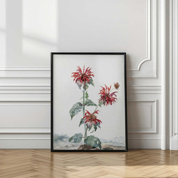 Tablou înramat „A Red Bergamot In a Landscape” de Aert Schouman