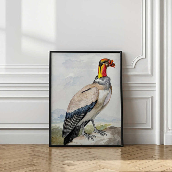 Tablou înramat „Stone Curlew” de Aert Schouman