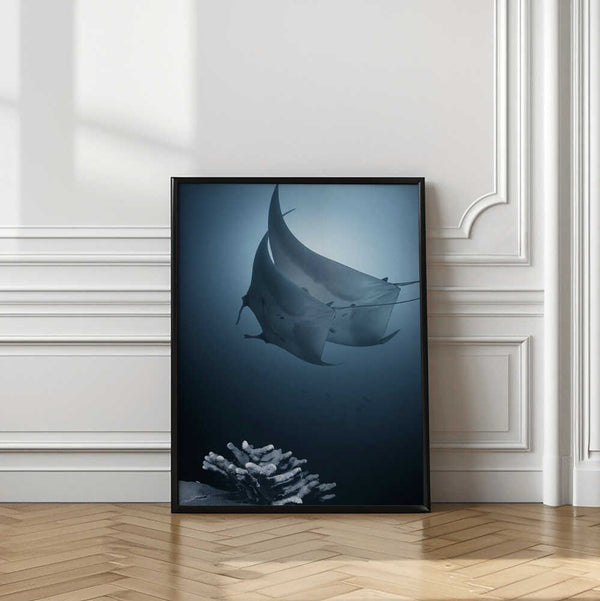 Tablou înramat „Sonata” de Andrey Narchuk