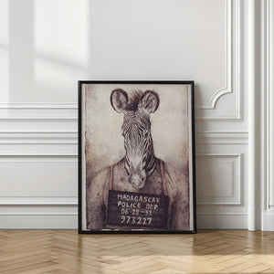 Tablou înramat „Zebra Mugshot Mystery” de Mike Koubou