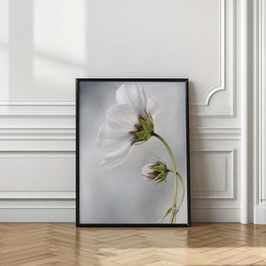 Tablou înramat „Heavenly Cosmos” de Mandy Disher