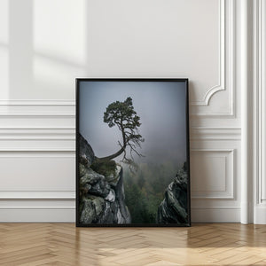 Tablou înramat „Against the Odds” de Andreas Wonisch