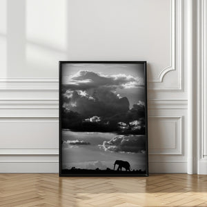 Tablou înramat „He walks under an African Sky” de WildPhotoArt