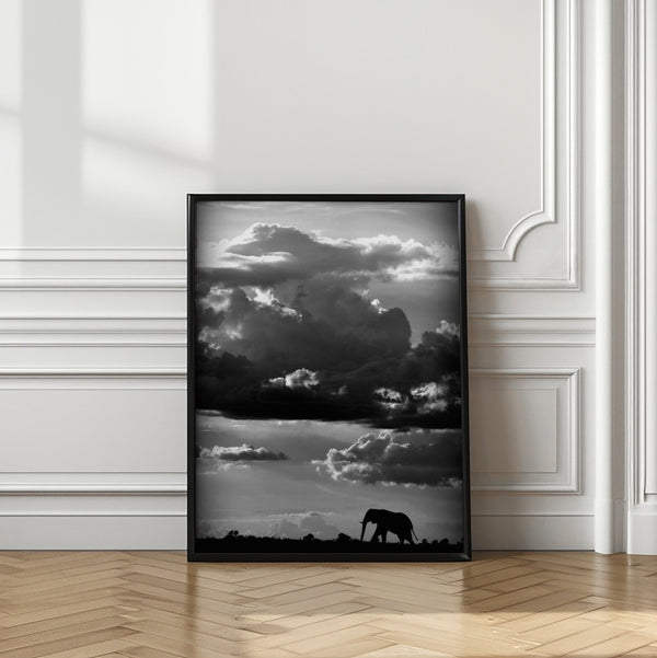 Tablou înramat „He walks under an African Sky” de WildPhotoArt