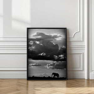 Tablou înramat „He walks under an African Sky” de WildPhotoArt