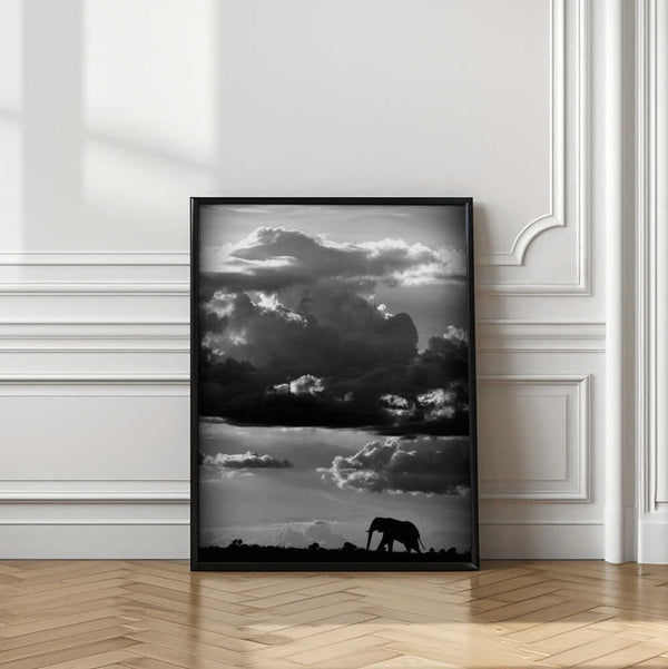 Tablou înramat „He walks under an African Sky” de WildPhotoArt