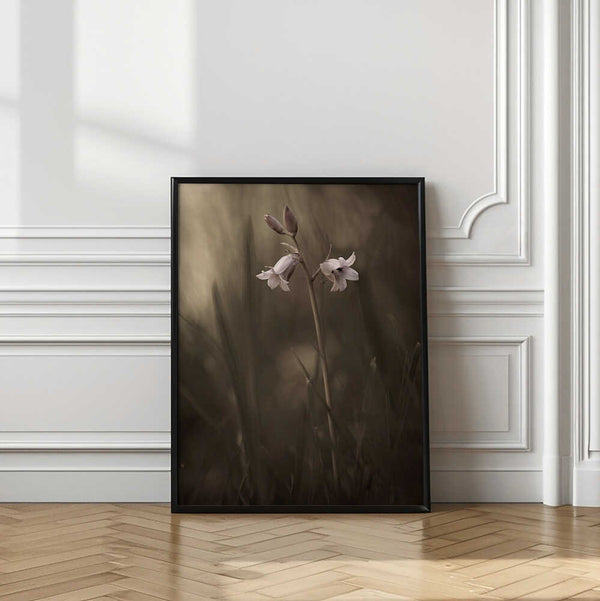 Tablou înramat „A small flower on the ground” de Allan Wallberg